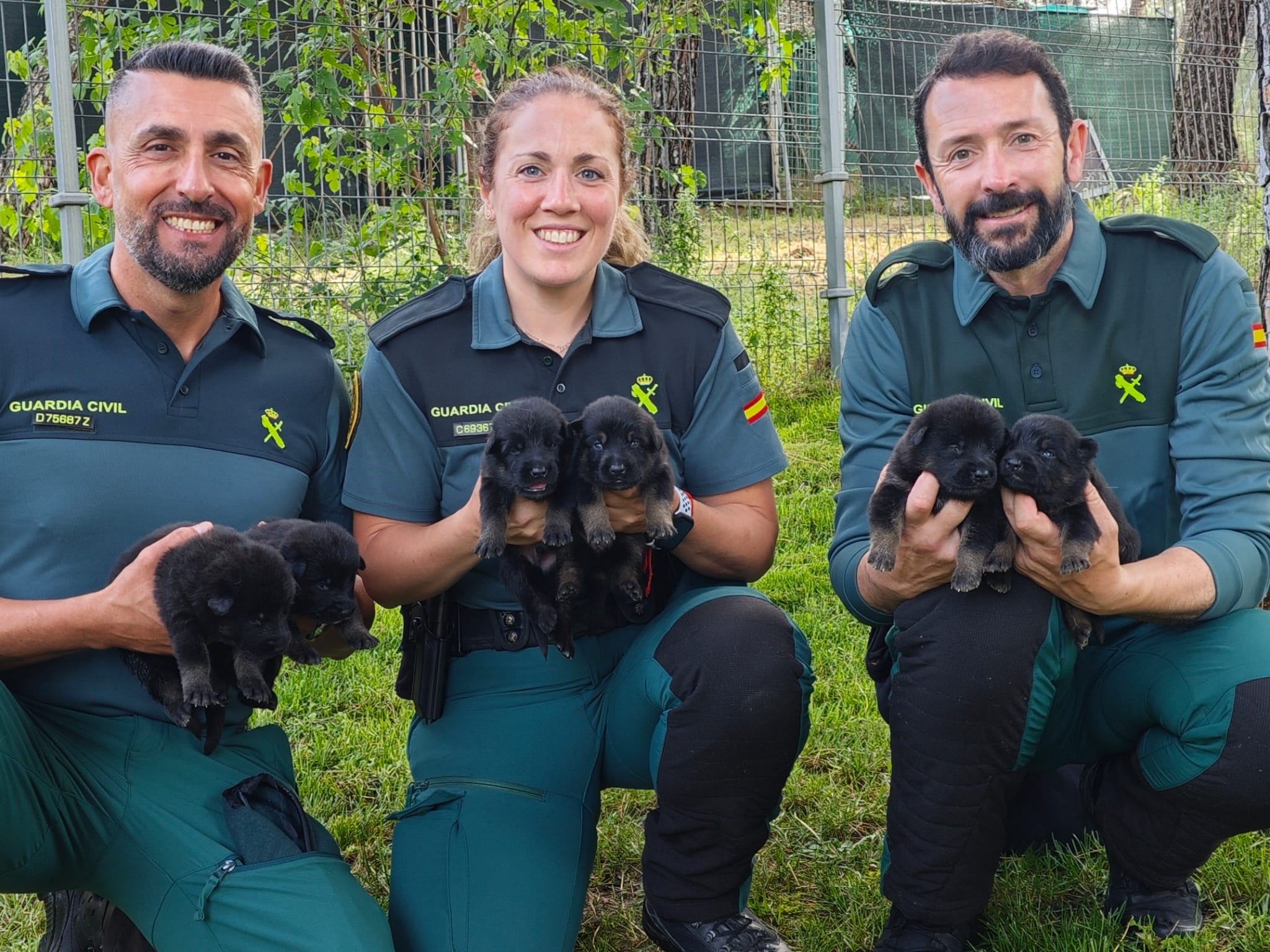 LA GUARDIA CIVIL BUSCA FAMILIAS PARA ACOGER CACHORROS ANTES DE SU FORMACIÓN COMO PERROS ESPECIALISTAS